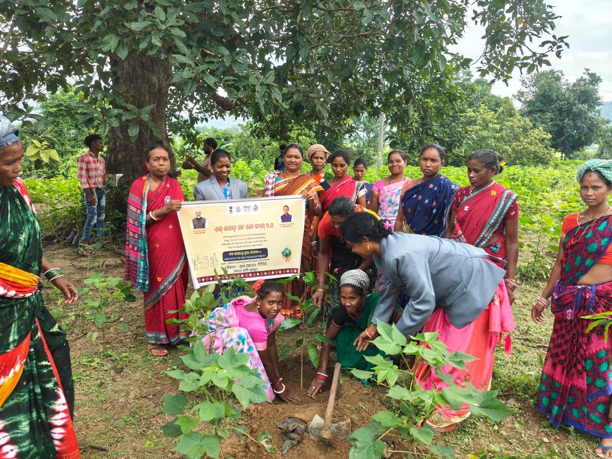 bdo gunupur tweet media
