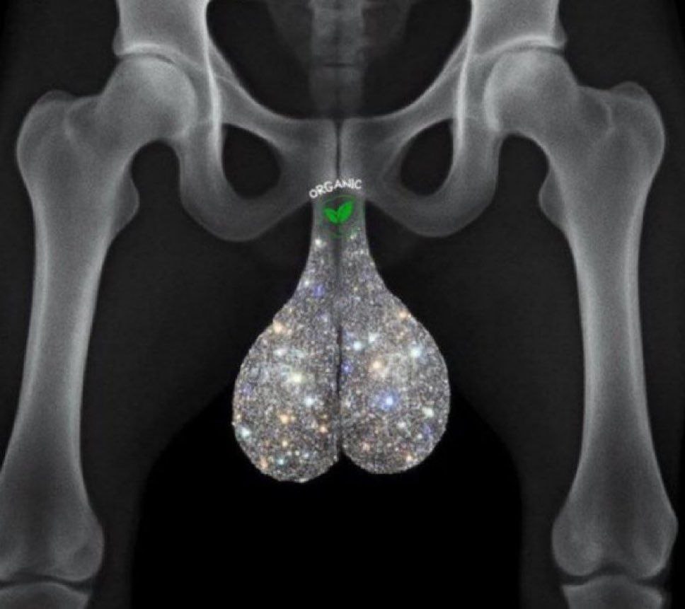 Ceux qui hold leurs Altcoins depuis plus d'un an.