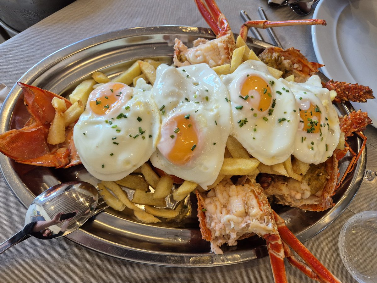 gataambbotes II☆II tweet media