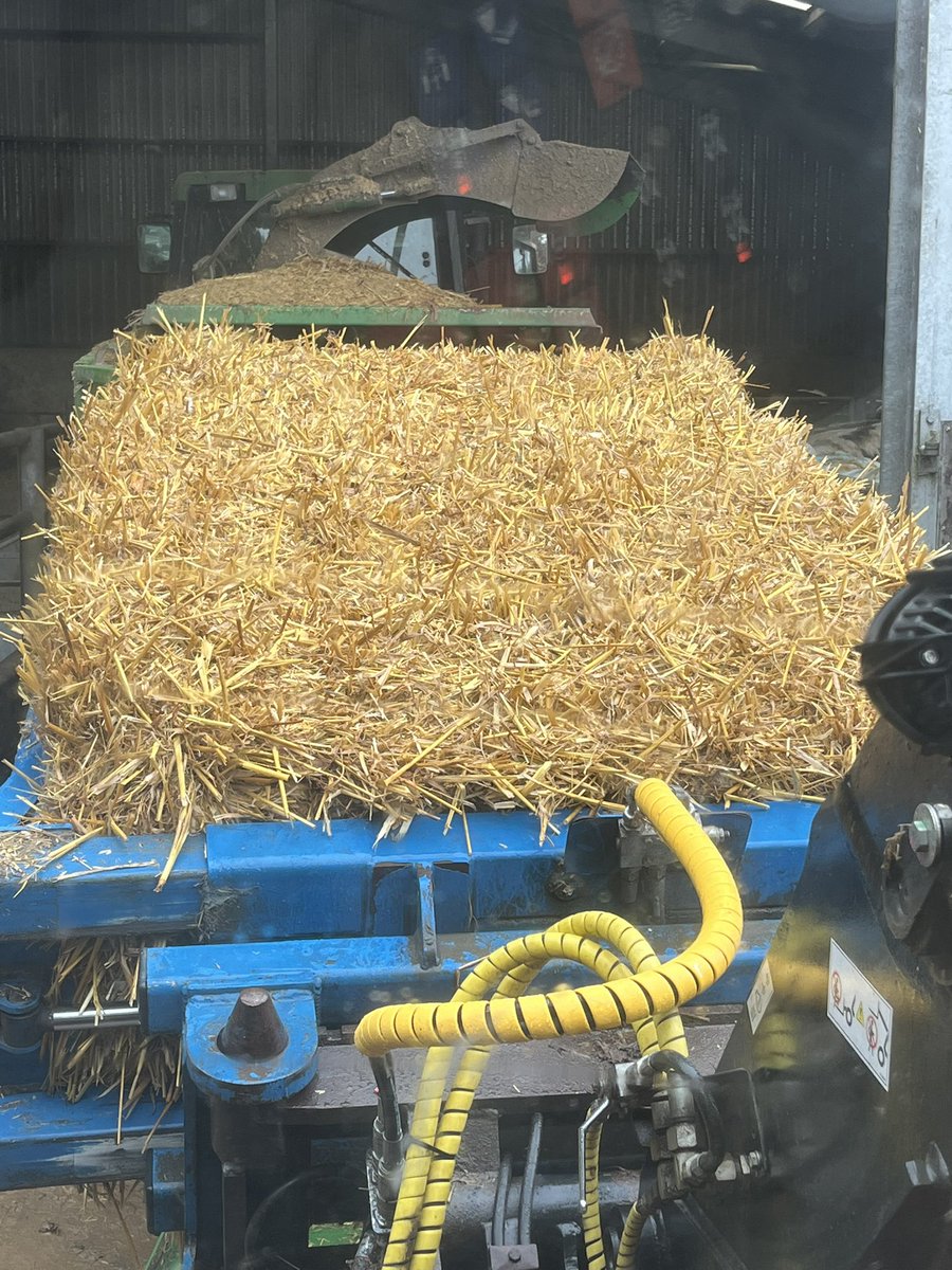 Longwool's tweet image. After three weeks of rain the “Golden Summer” seems like an eternity ago with only the straw to remind us of it