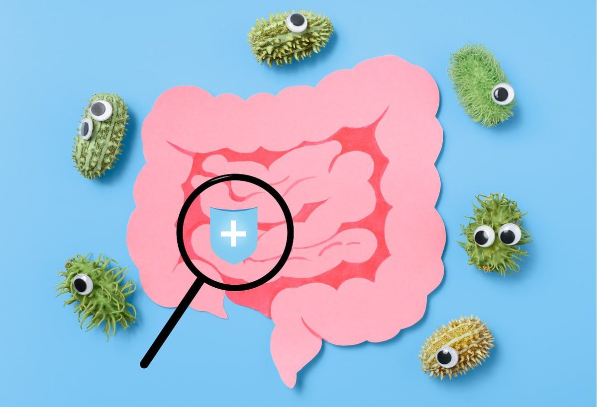 Your gut could hold the key to removing deadly “forever chemicals”
      
Scientists found nine gut bacteria that can absorb up to 75% of cancer-linked PFAS chemicals that build up in our bodies for years.
          
It’s the first real hope for clearing them naturally—but