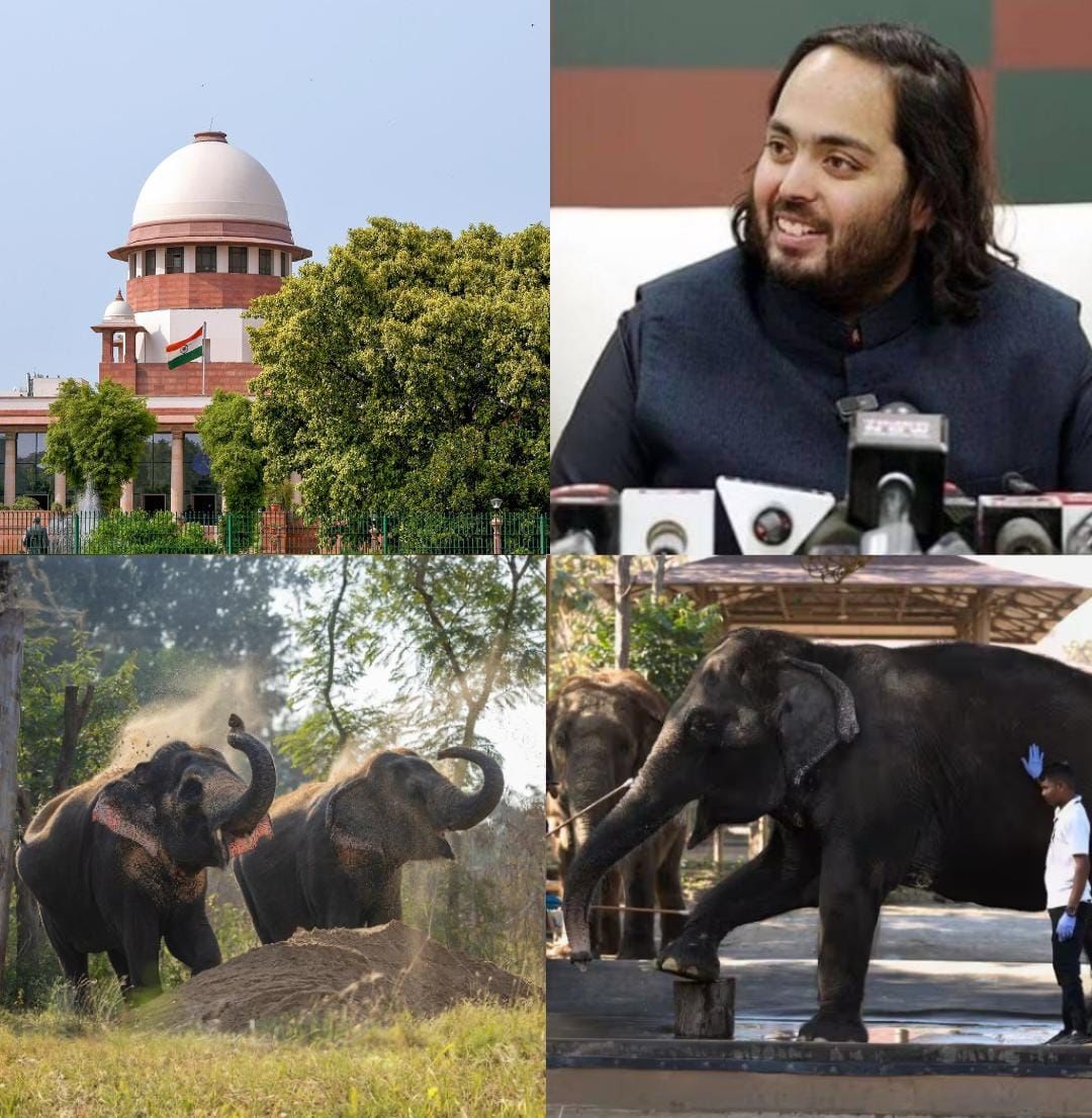 मानक से परे कल्याण!
सुप्रीम कोर्ट और 5 एजेंसियों की जांच में वंतारा के पशु देखभाल केंद्र में कोई उल्लंघन नहीं पाया गया।
हर कदम पूरी तरह कानूनी और कल्याण मानकों से बेहतर।