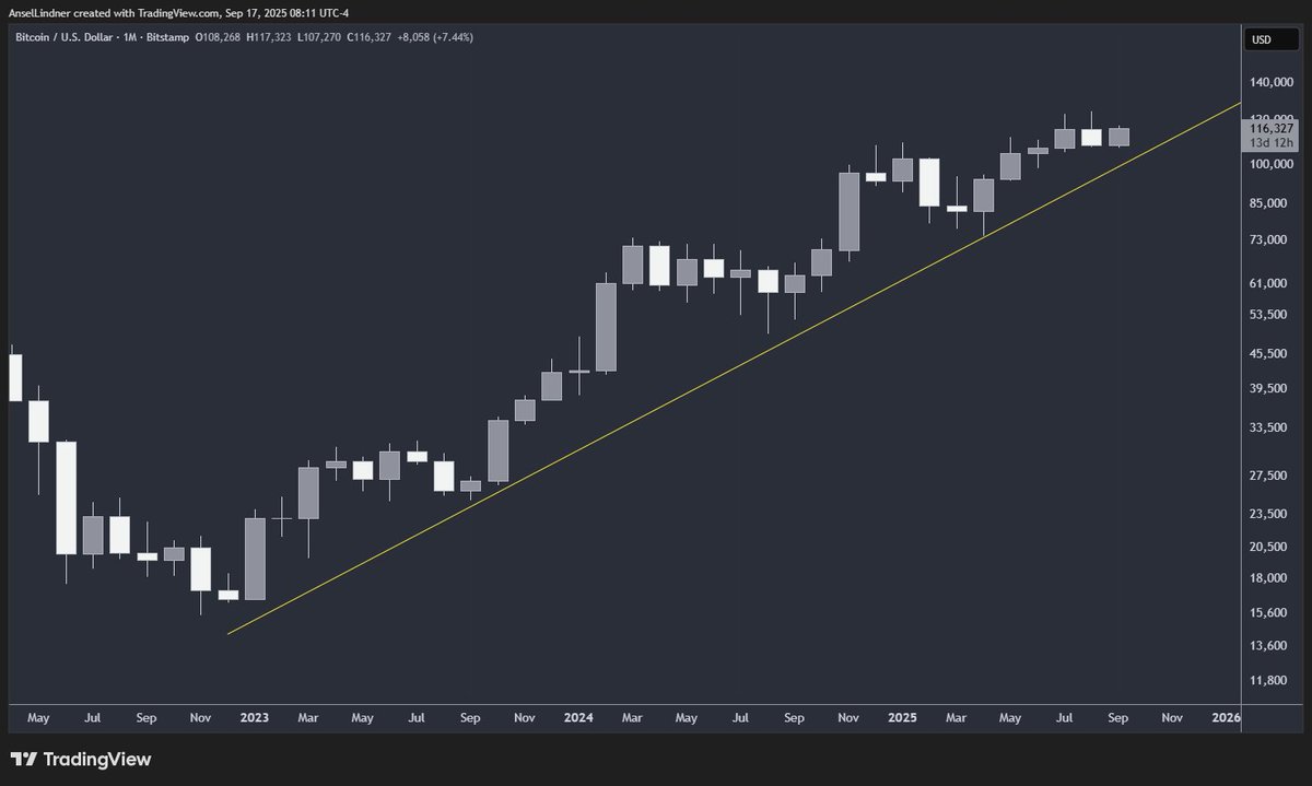 Bitcoin monthly candles.