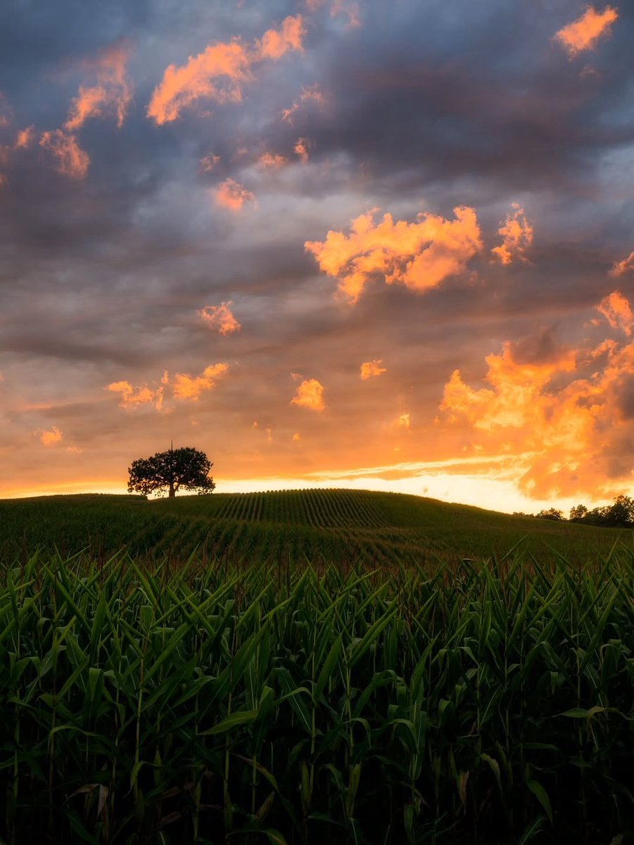 This is ROC 🌅🌳 #thisisroc 📷: <a href="/BrandonSprung/">Brandon Sprung</a> #roc