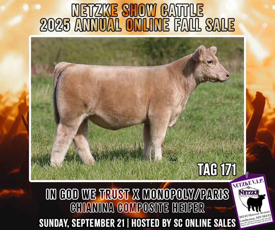 ❗️4️⃣ DAYS UNTIL SALE DAY❗️

On Wednesdays, these girls wear pink! 🎀

•Tag 166 | Worth the Wait x Dr. Who/503 | Chianina Composite

•Tag 171 | In God We Trust x Monopoly/Paris | Chianina Composite

🗓️Sunday, September 21st || 🔗 sconlinesales.com/Bids/AuctionsL…