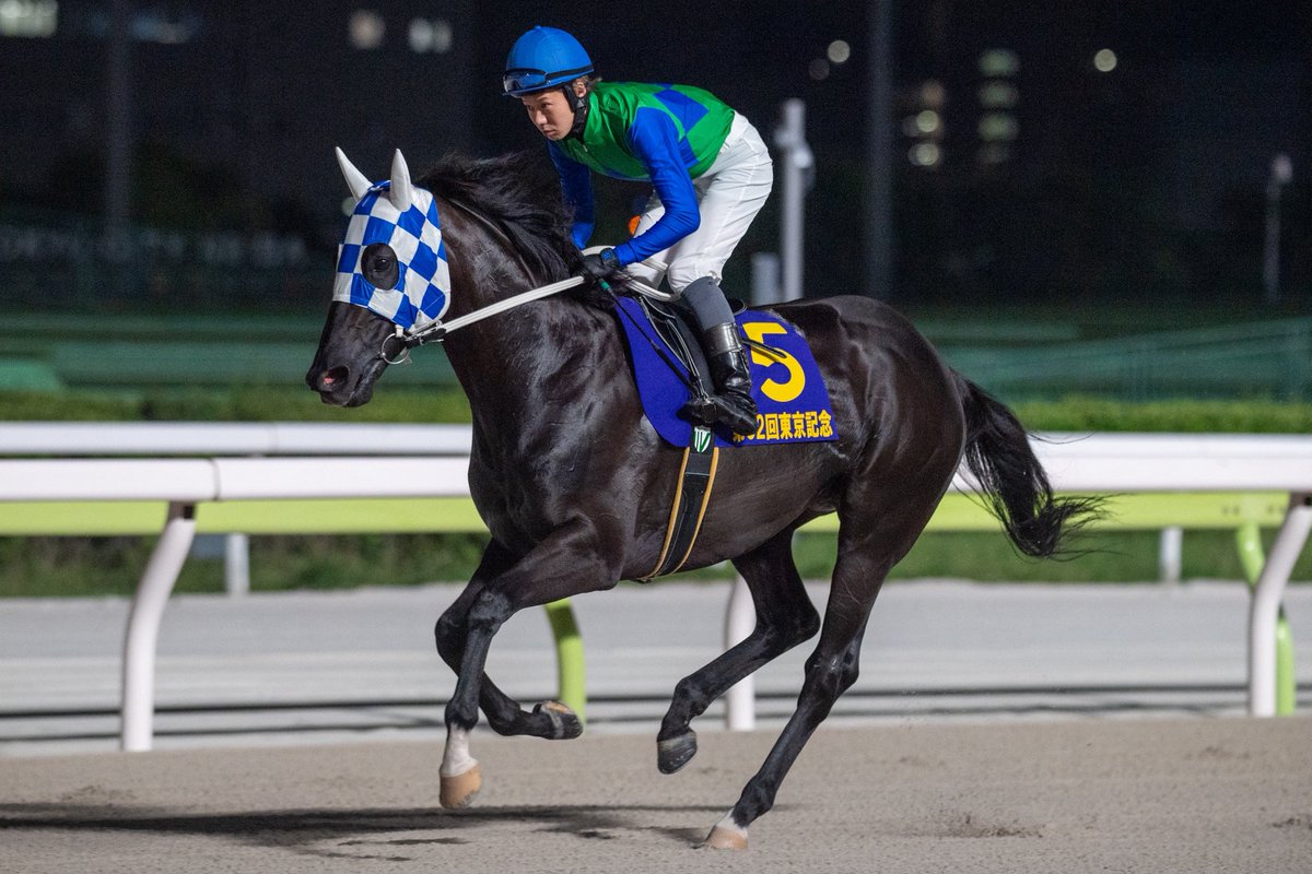 マルカンラニ - Search / X