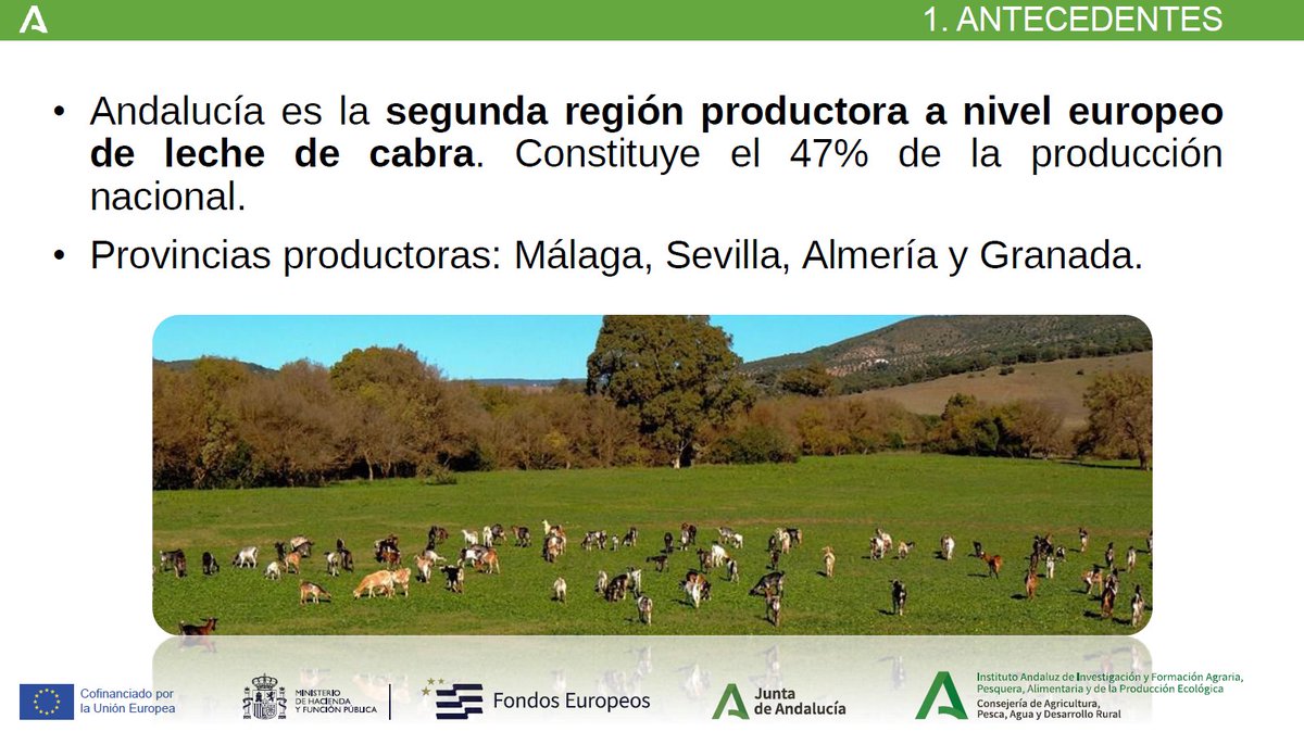 📍 Hoy en #AgroConectaOVA hablamos de “El valor de la innovación en el sector lácteo andaluz” con Ángel Luis López Ruiz, investigador del <a href="/IfapaJunta/">IFAPA</a> y coordinador de la Planta Piloto de Lácteos de Andalucía.

Presentamos la Oficina Virtual Agraria, de <a href="/AndaluciaJunta/">Junta de Andalucía</a> con fondos