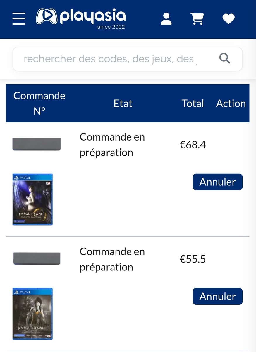 En attendant Fatal Frame II Remake sur PS5 👀