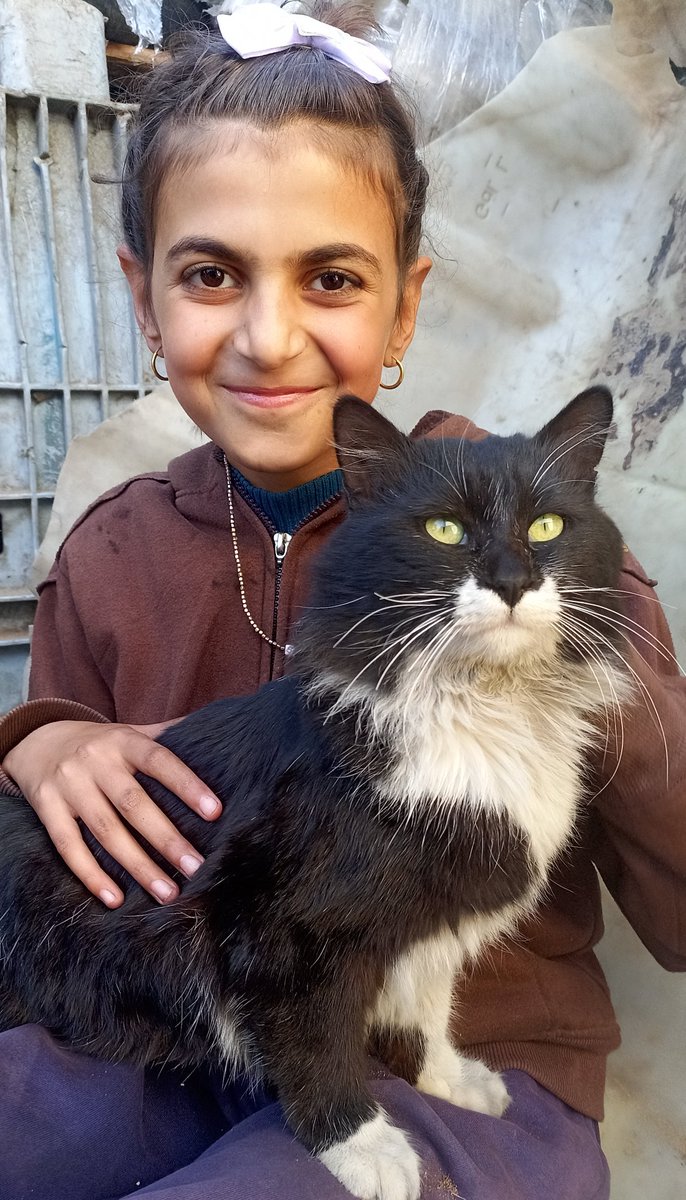 Sugar and Sondos the cat are very scared 🐾🐈.

 The quadcopter is bombing randomly. Pray for us. 🍉😭 😿

 Please donate and save👇👇🇵🇸

chuffed.org/project/127682…