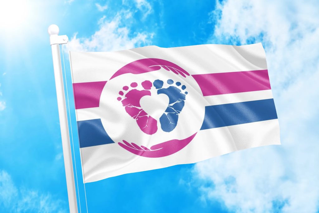 TommyZambranoM's tweet photo. Aquí está explicado el Significado de la Bandera Pro Vida realizada en el año 2021 por @ProLifeFlag :
▪El fondo blanco simboliza la no violencia en el útero, así como la inocencia del feto.
▪Los dos pies de bebé representan la humanidad del feto. Los pies de bebé han sido un símbolo asociado con el movimiento pro-vida desde que los icónicos pines de solapa Precious Feetfueron nombrados símbolo internacional pro-vida en 1979.
▪Las dos manos rosas representan a la madre embarazada, sosteniendo y protegiendo a su hijo. 
▪El corazón blanco entre los pies simboliza el amor del movimiento provida tanto por la madre como por su hijo. 
▪La forma circular formada por las manos evoca imágenes del estómago de una madre embarazada, un lugar seguro, protegido y protegido para un niño en desarrollo. 
▪Las dos franjas nuevamente enfatizan las DOS vidas humanas distintas presentes en un embarazo. Las rayas también forman un “signo de igual”, enfatizando que el feto es igualmente y completamente humano y por lo tanto, merece los mismos derechos humanos. También pueden representar el papel tanto del padre como de la madre en la creación y crianza de un hijo.
▪Los colores azul y rosa significan cosas diferentes para diferentes personas. Tradicionalmente, han sido los colores asociados con los bebés varones y niñas, pero los dos colores distintos también vuelven a enfatizar las dos vidas presentes en un embarazo: la madre y el niño.

unámonos en una sola causa que es la Vida y la Familia. #BanderaProvida