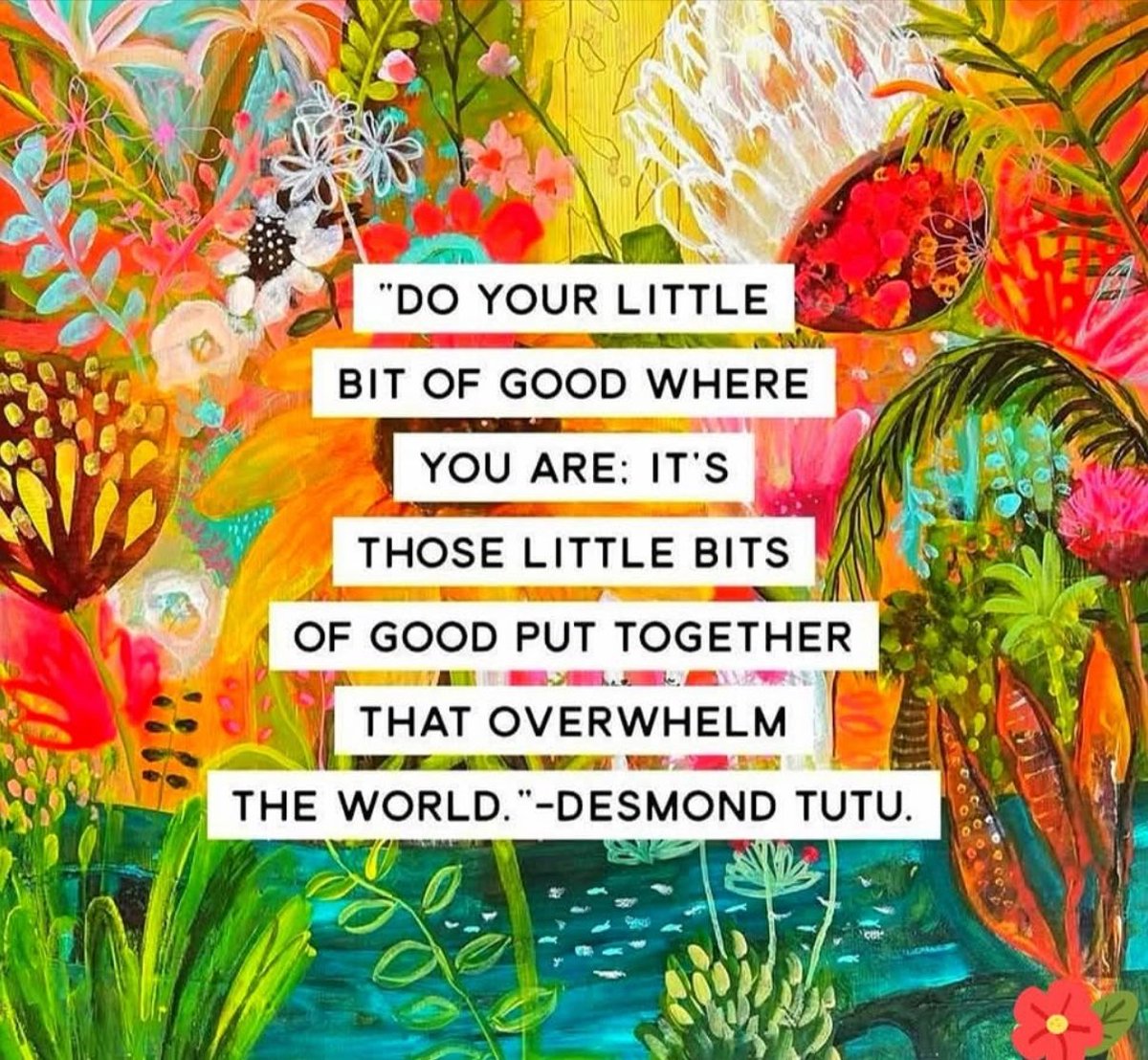 cat heifner tweet media