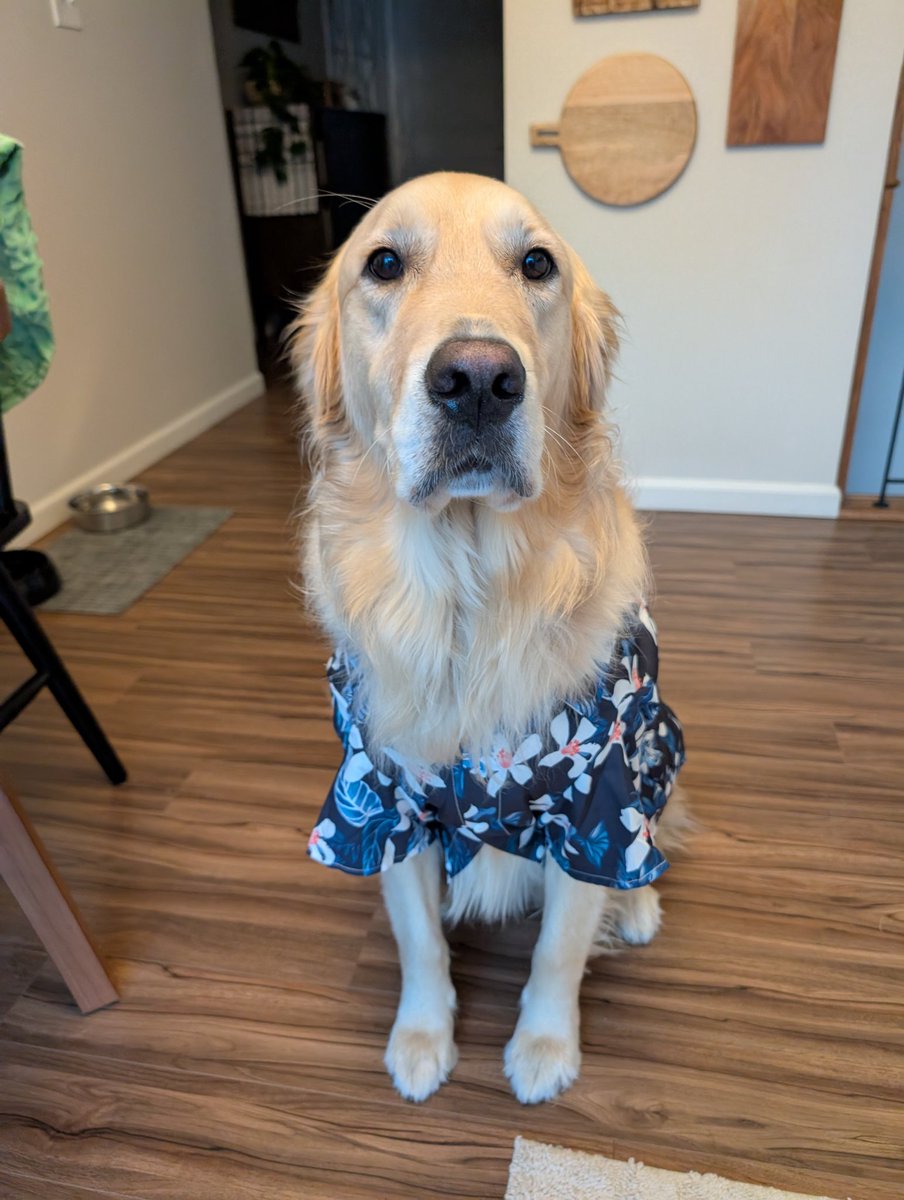 Janet O'Hara tweet media