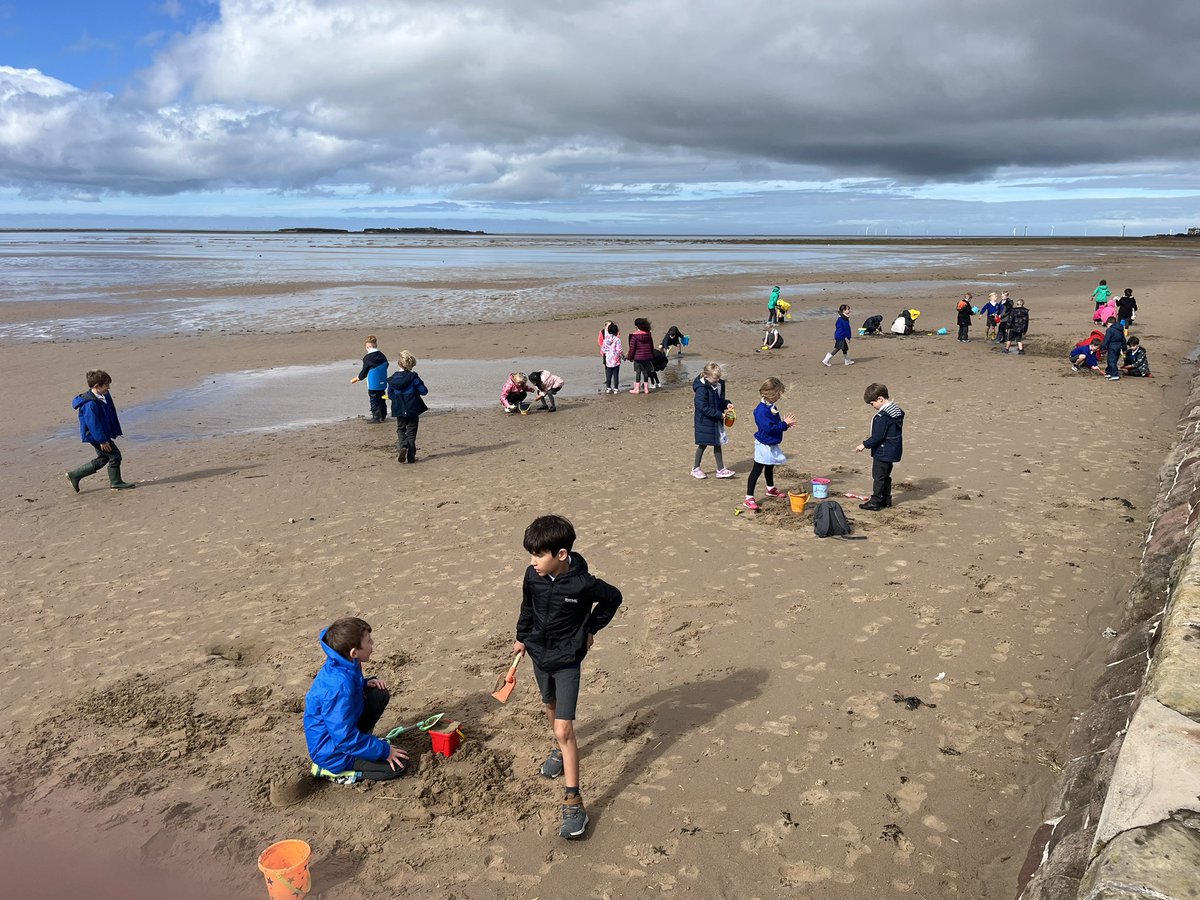 Newton Primary School, Chester tweet media