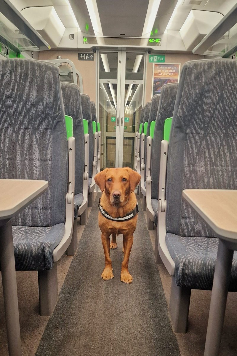 Travelling through #London and #Windsor this week?

You’ll notice a high visibility presence of officers at stations and on board trains – as well as specialist assets such as PD Deano and firearms officers.

See something that doesn’t feel right? Text us on 61016 📱