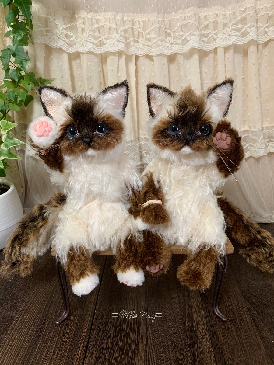 Highlights by ＊HiNo pixy＊ (@HiNo_pixy) / X