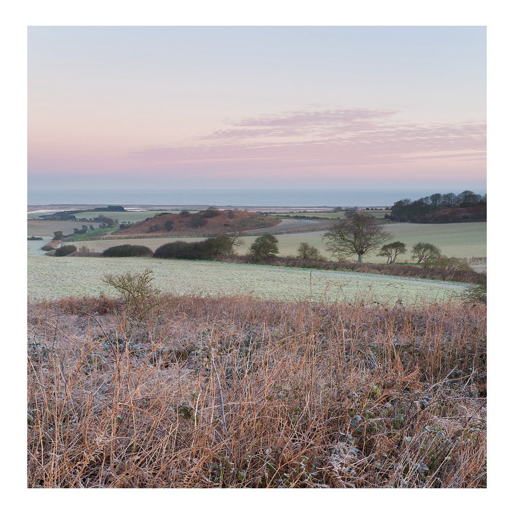 JonGibbsPhoto's tweet photo. Salthouse Heath, Norfolk https://t.co/0UJ6WTUfPN