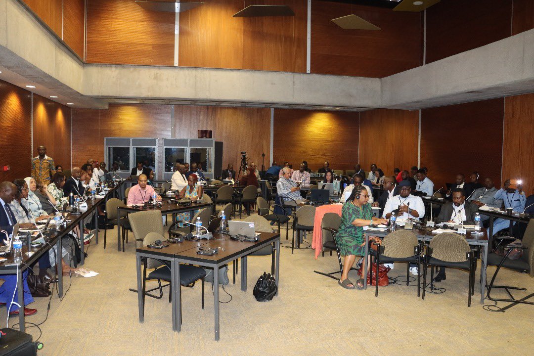 SONSA_NSA's tweet image. Somali Civil Society @SONSA_NSA chairperson @Osman_Moallim at the 5th Annual #PEMO Conference 

@SONSA_NSA, is proud to participate in the 5th Annual Conference of Parliamentary Engagement &amp;amp; Monitoring Organizations #PEMOs held in Pretoria, South Africa.

With the theme “Getting…