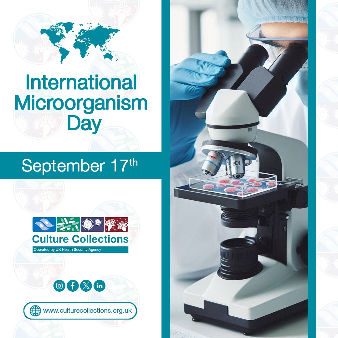NCTC_3000's tweet image. On #InternationalMicroorganismDay , we at Culture Collections celebrate the vital role of microorganisms in sustaining life. Discover our work and get involved: culturecollections.org.uk  @IntMicroDay #MicrobialScience #CultureCollections #ECACC #NCTC #NCPV #NCPF