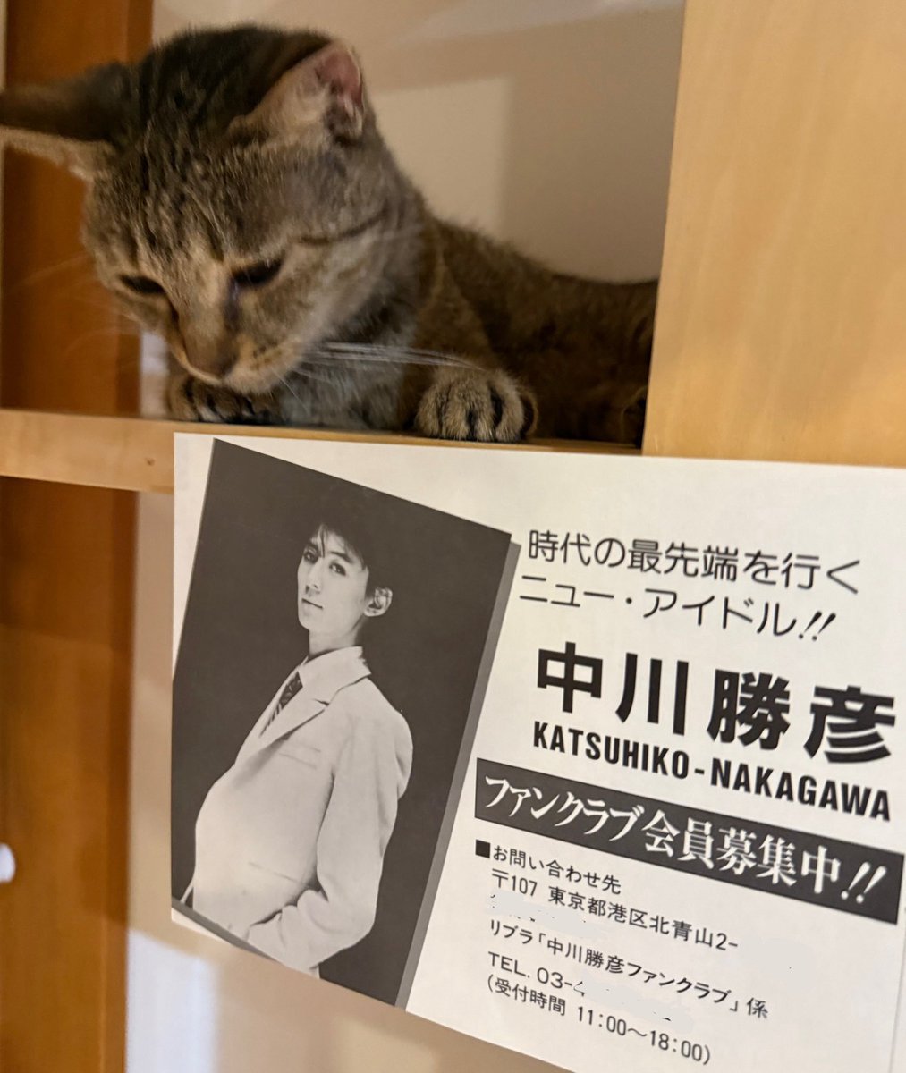 いい曲たくさんあったなぁ…

#中川勝彦
#9月17日
#命日