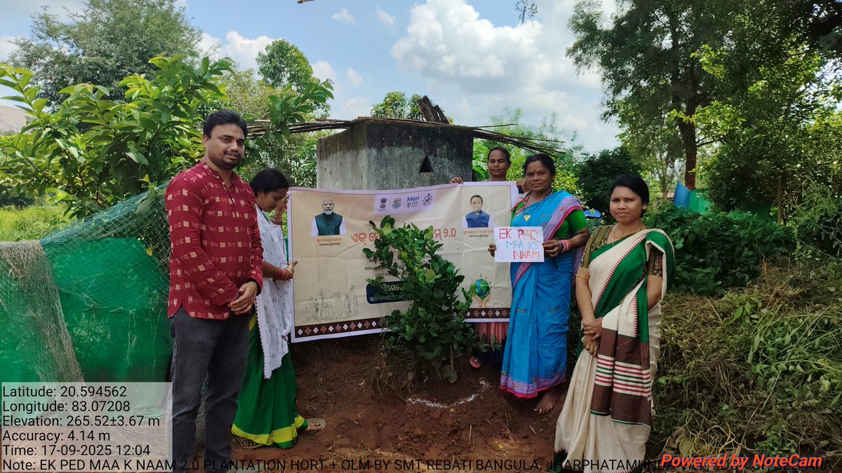 AHO_Padmapur's tweet photo. #EkPedMaaKeNaam2.0 drive was taken up by our Belpara Horticulture Team in coordination with Block Admin, OLM Team, Mission Shakti Team, Oilpalm Team etc. In this event we have planted 9560 plants on 17/09/2025 @KVSinghDeo1 @krushibibhag @Horticultureod1 @CMO_Odisha https://t.co/R9ftCl9C2Z