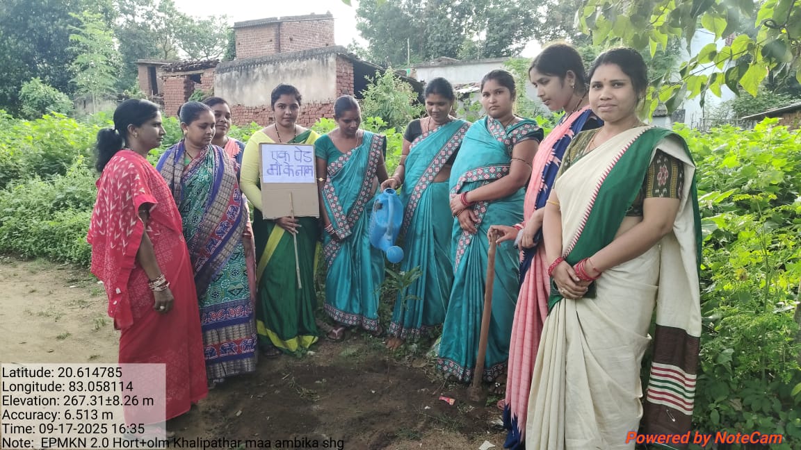 AHO_Padmapur's tweet photo. #EkPedMaaKeNaam2.0 drive was taken up by our Belpara Horticulture Team in coordination with Block Admin, OLM Team, Mission Shakti Team, Oilpalm Team etc. In this event we have planted 9560 plants on 17/09/2025 @KVSinghDeo1 @krushibibhag @Horticultureod1 @CMO_Odisha https://t.co/R9ftCl9C2Z