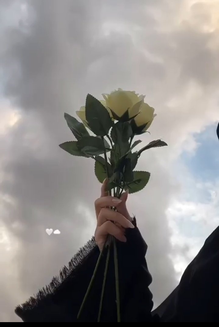 ♥🕊،، 

اذا كانت الأنثى ورده 🌹..فماذا يكون الرجل؟.

،، ♥️♥️ ❥ 

#مساء_الخير 
#بوح_الكلام