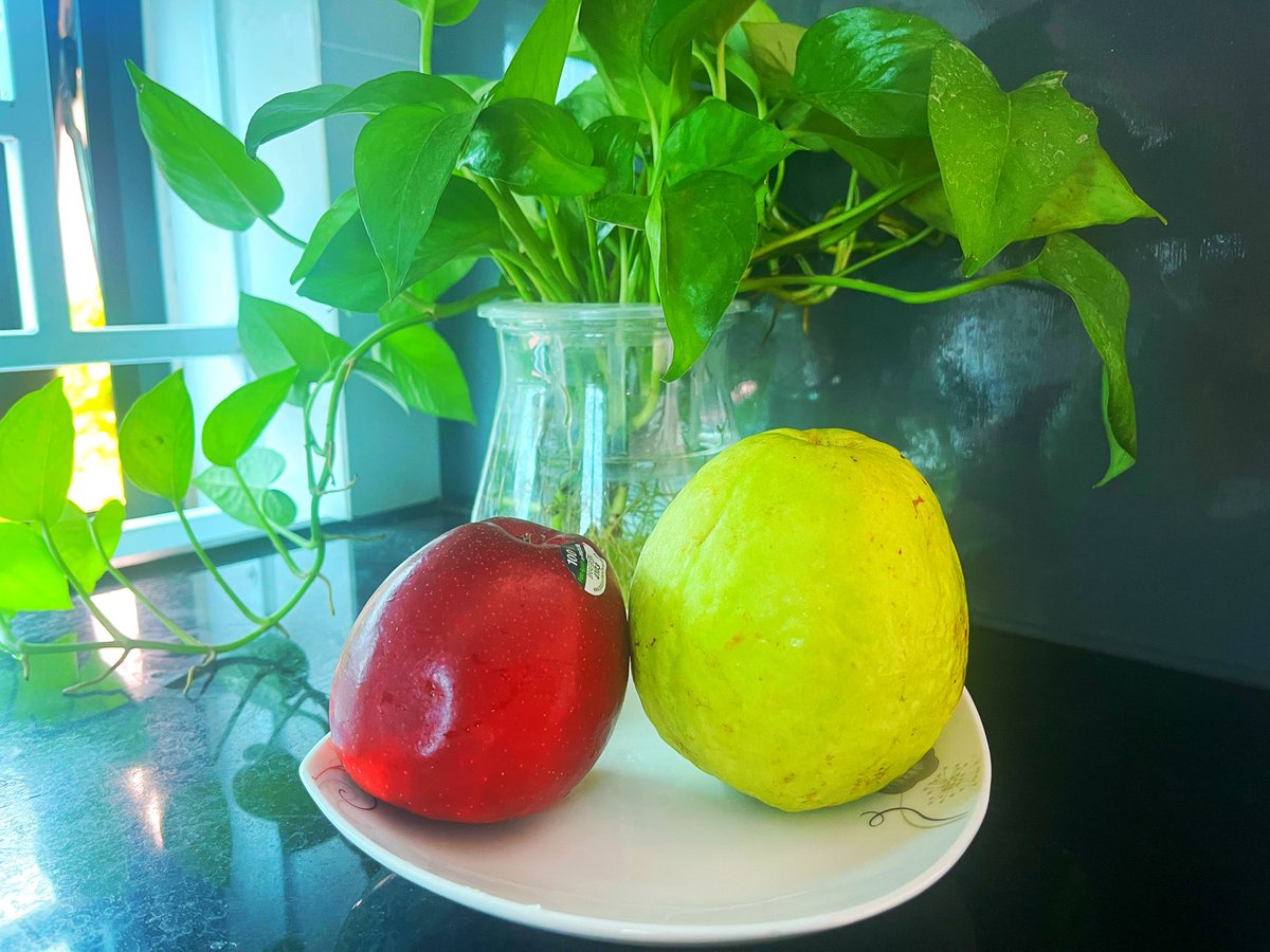 ỔI  VÀ TÁO 🍎 (DINH DƯỠNG VÀ GIÁ CẢ)

Mọi người thấy quả nào tốt hơn, và thích ăn quả nào vậy?

Cmt cho mình biết với nhen!

*******************************

Ổi giàu chất xơ, chất chống oxi hoá, trung bìh 100g ổi ~ 228mg vtm C

Táo 100g 🍎 ~ 12g vtm C