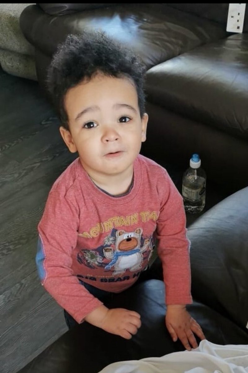 Paul Healy tweet media