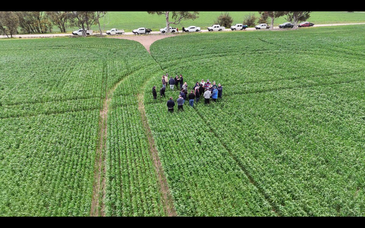 RodPohlner's tweet image. Great day put on at Woorak today. Lot of wonderful people passionate about ag sharing the good and the bad 😃