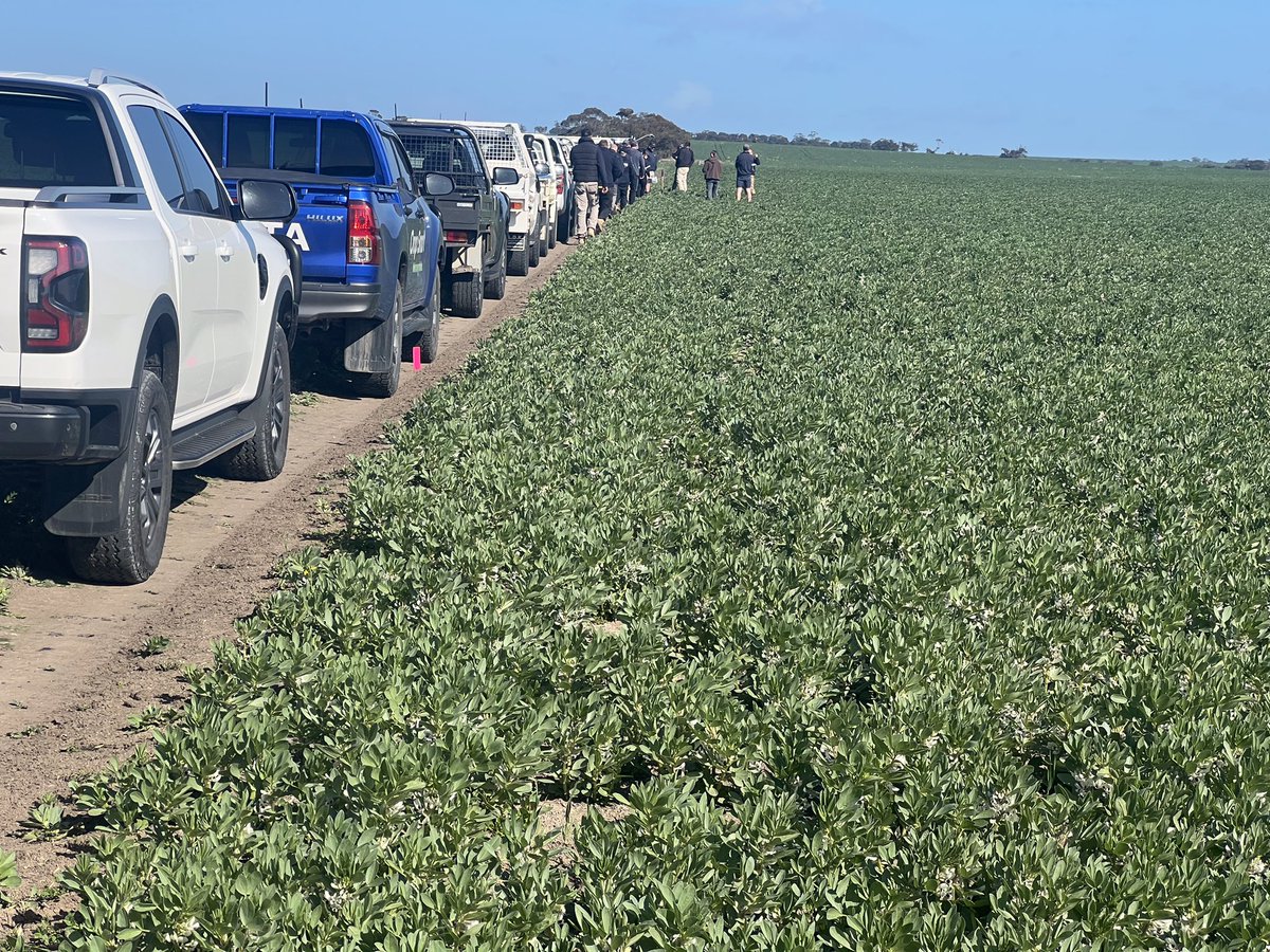 RodPohlner's tweet image. Great day put on at Woorak today. Lot of wonderful people passionate about ag sharing the good and the bad 😃