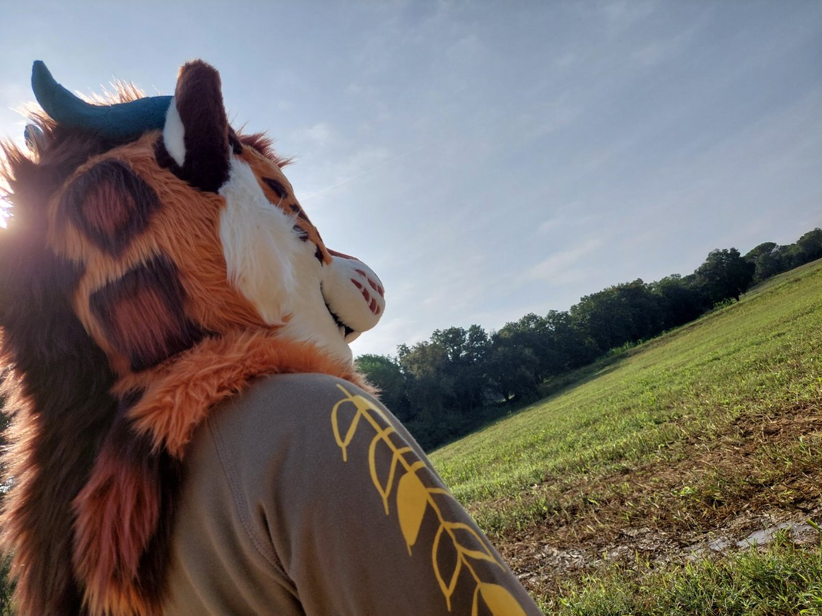 Our first online auction premade will be revealed this fursuit friday! 🌿

More info coming soon, stay tuned! ✨

☁️ Design by <a href="/_BlueZeru/">Zeru ❄</a> ☁️