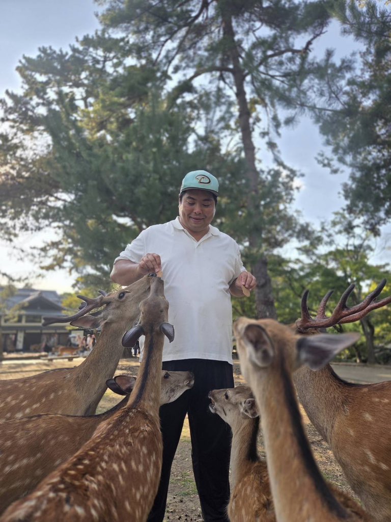【ご報告】
奈良公園パトロールを開始して一年二ヶ月が経過しました。
未だに中国人から鹿さんへの暴力行為は無くなりませんが減少はしております。
議員の仕事があり公園に行けない日もありますが継続して参りますので引き続きフォロー拡散よろしくお願い致します。