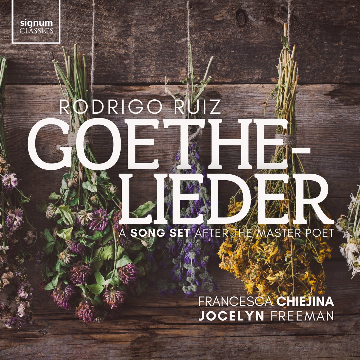rodrigoruiz1988's tweet photo. For years I’ve admired Goethe’s poems. Now, with @FrannyChiejina (soprano) and @PianoLieder (piano), my Goethe-Lieder come to life at last. The first single is out now — link in comments. 🎶 https://t.co/cgLQxqadnd