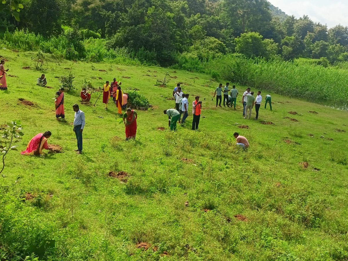 "Single Day Plantation Programme under 'ଏକ୍ ପେଡ୍ ମା’ କେ ନାମ୍ ୨.୦' – 2025, conducted at TIKRAPADA GP , Komna Block  17.09.2025."
#ekpedmaakenaam #odishaplants75lakhtree #odishaplants4mother #plantation #ମାଆପାଇଁଗଛଟିଏ 
<a href="/narendramodi/">Narendra Modi</a>
<a href="/CMO_Odisha/">CMO Odisha</a> @pccfwildlifeodisha