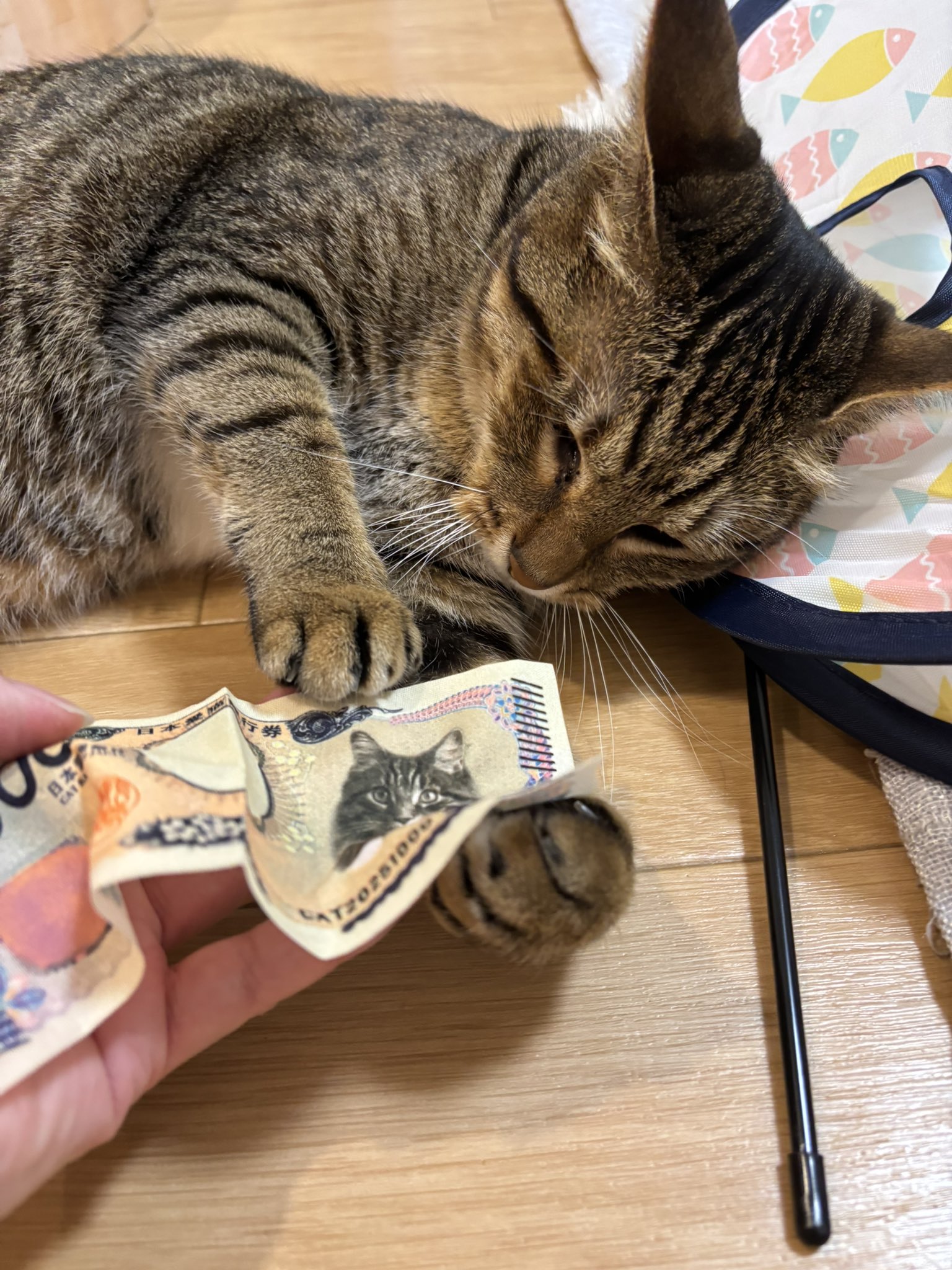 あちゃこ様 未使用品❤️伝統工芸品❤️あざみ屋 ITUYO パンプキンバッグ 藍 あちゃこ様 未使用品❤️伝統工芸品❤️あざみ屋 ITUYO