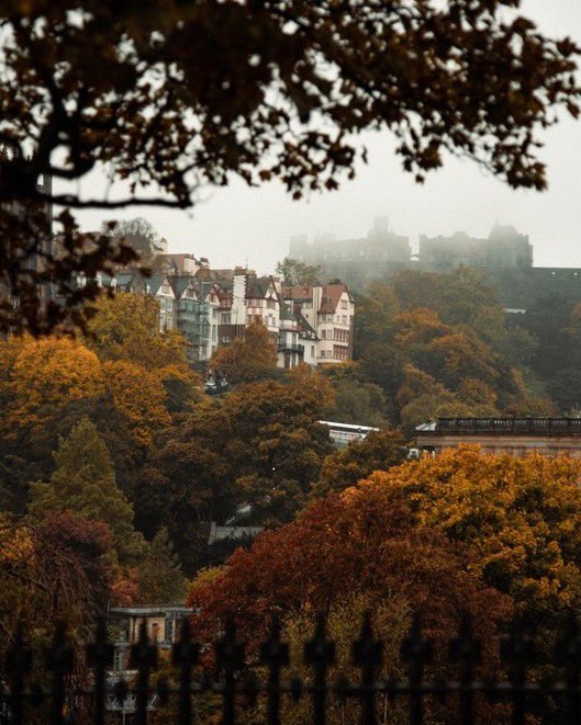 5 more days until it’s officially Autumn 🍂🪵🥧🍁