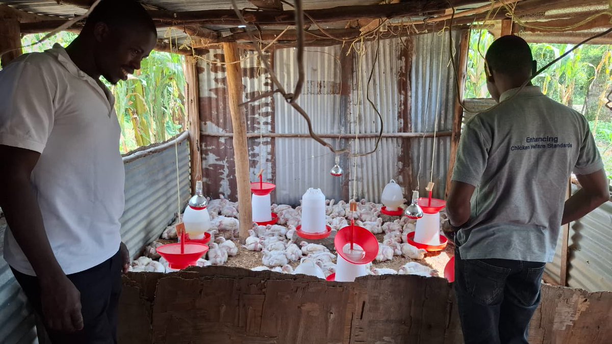 Africa Network for Animal Welfare tweet media