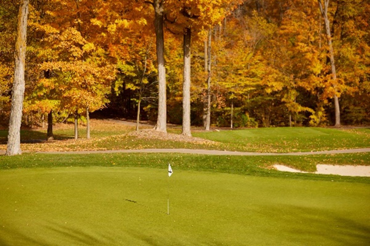 With a trend towards milder falls, and fluctuating winters across much of Canada, the likelihood of a Microdochium infection is ever-increasing for many clubs. That makes going in clean vital to the health and longevity of golf courses across Canada.

greencast.ca/turftech/forti…