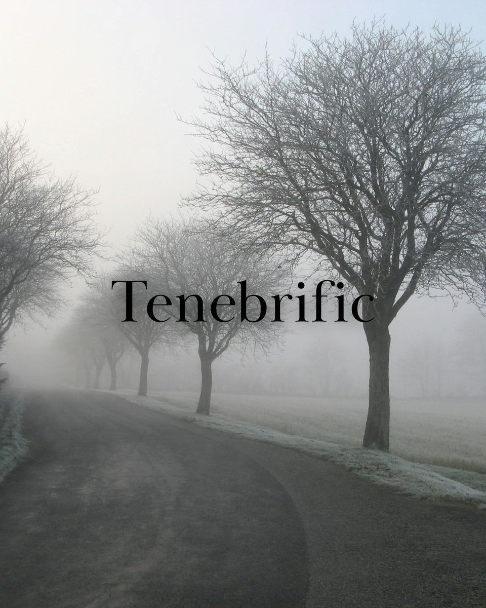 InkhornEdits's tweet image. Tenebrific, adjective

1: Gloomy
2: causing gloom or darkness

Origin: borrowed from Medieval Latin 

In a sentence: The moon was overshadowed, and the streetlights blinked out, one by one, in a tenebrific advance.

#WednesdayWordOfTheWeek #Vocabulary #Words #InkhornEditor