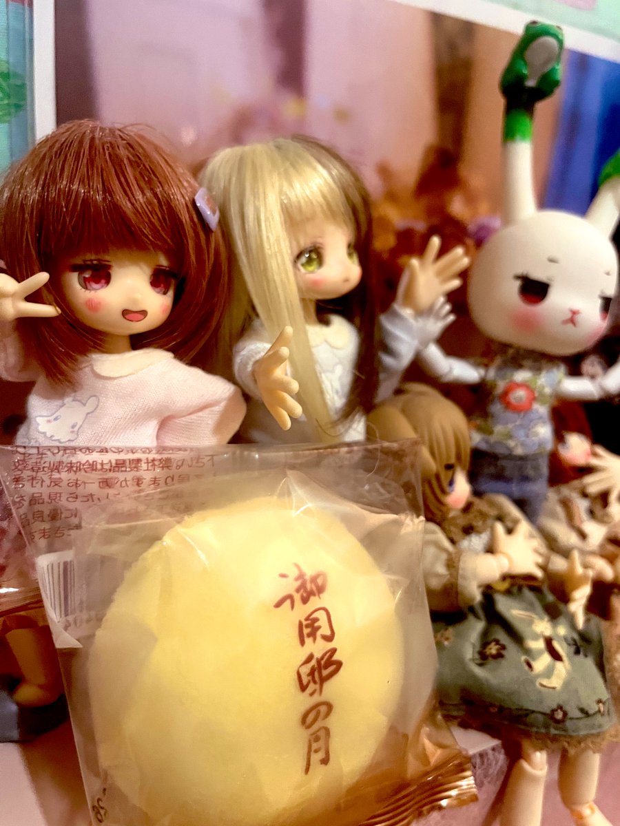 萩の…ではなく御用邸の月🌕
那須のやつ‼️

ŧ‹”ŧ‹”( ‘ч’ )ŧ‹”ŧ‹”

#深夜のおやつドール一本勝負