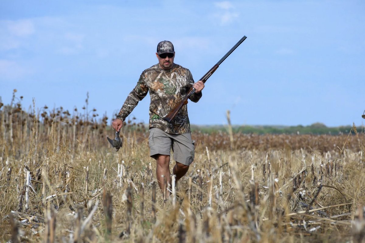 outdoorsmencom's tweet photo. Who else has been getting after it in the dove field?
-
-
#dovehunting #huntingseason #wingshooting #uplandhunting #huntinglife https://t.co/Av5d0GJfig