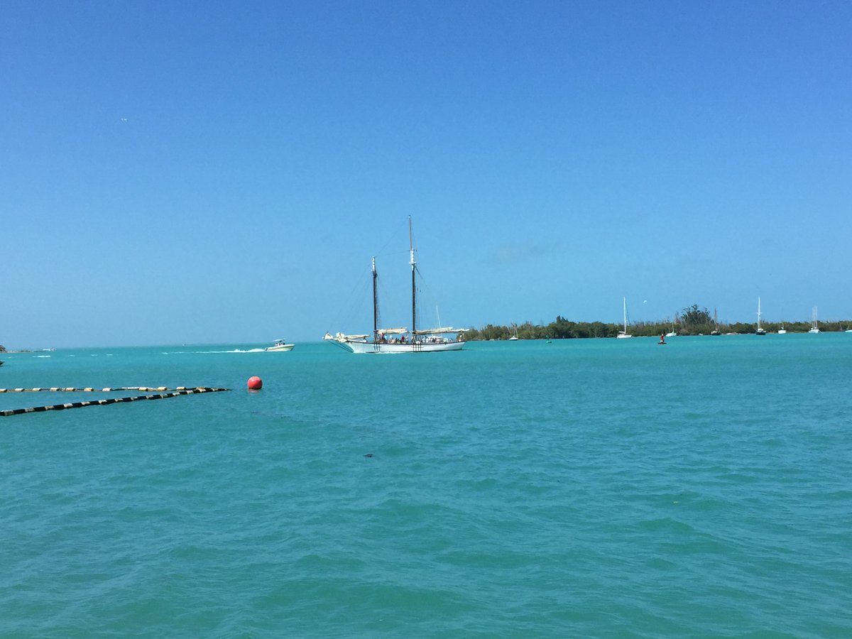 PartyInKeyWest's tweet image. 🌴✨ Discover the vibrant charm of #KeyWest! From stunning sunsets to crystal-clear waters. It's a true gem. Key West has something for everyone. 🏖️🌅  

What's your favorite Key West memory? 👇
Partyinkeywest.com #Travel #partyinkeywest #VacationGoals  🌊🐠