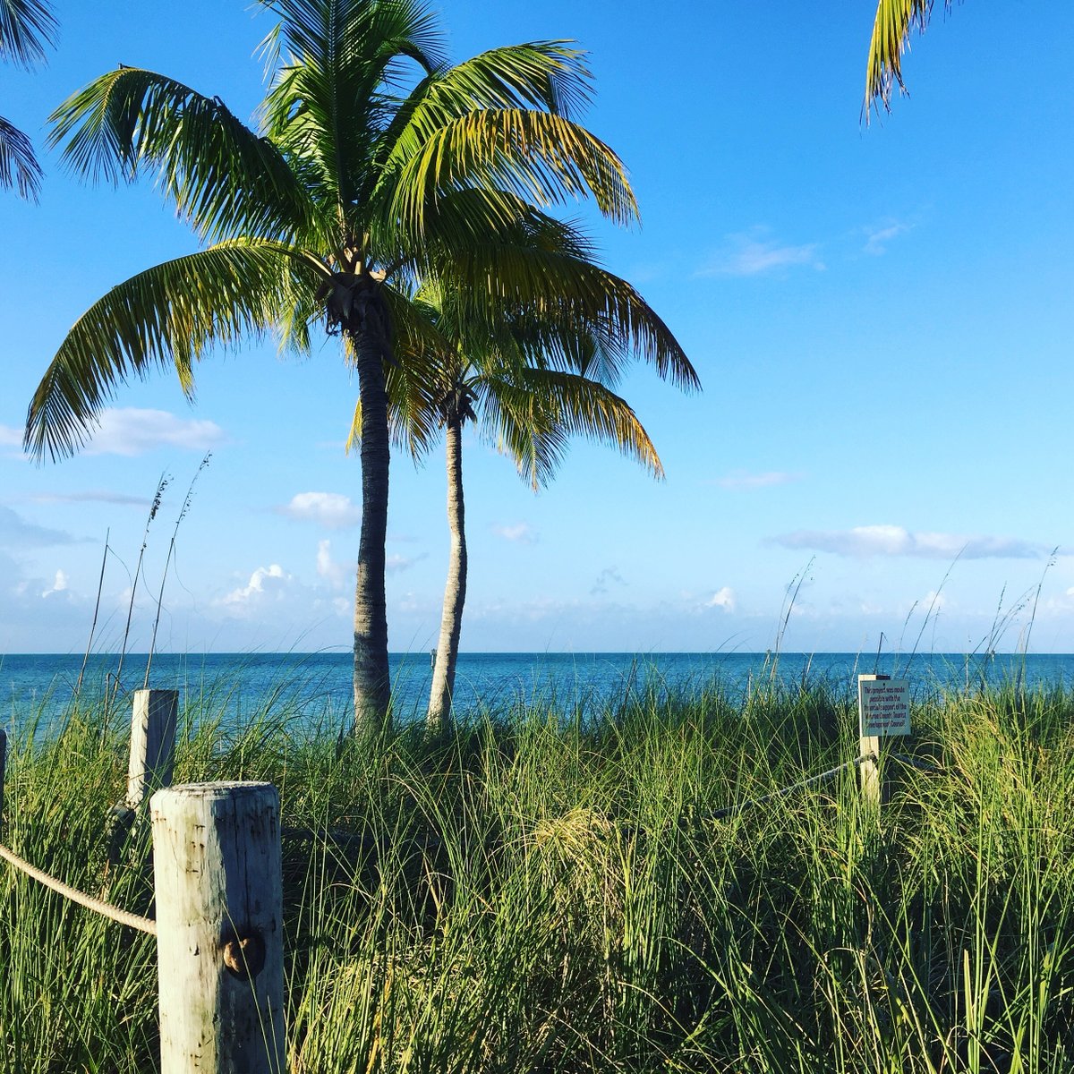 PartyInKeyWest's tweet image. 🌴✨ Discover the vibrant charm of #KeyWest! From stunning sunsets to crystal-clear waters. It's a true gem. Key West has something for everyone. 🏖️🌅  

What's your favorite Key West memory? 👇
Partyinkeywest.com #Travel #partyinkeywest #VacationGoals  🌊🐠