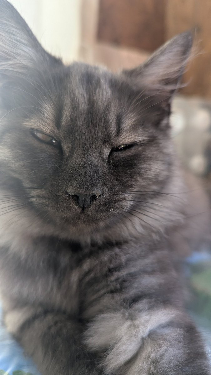 А ви вже долучились до збору?