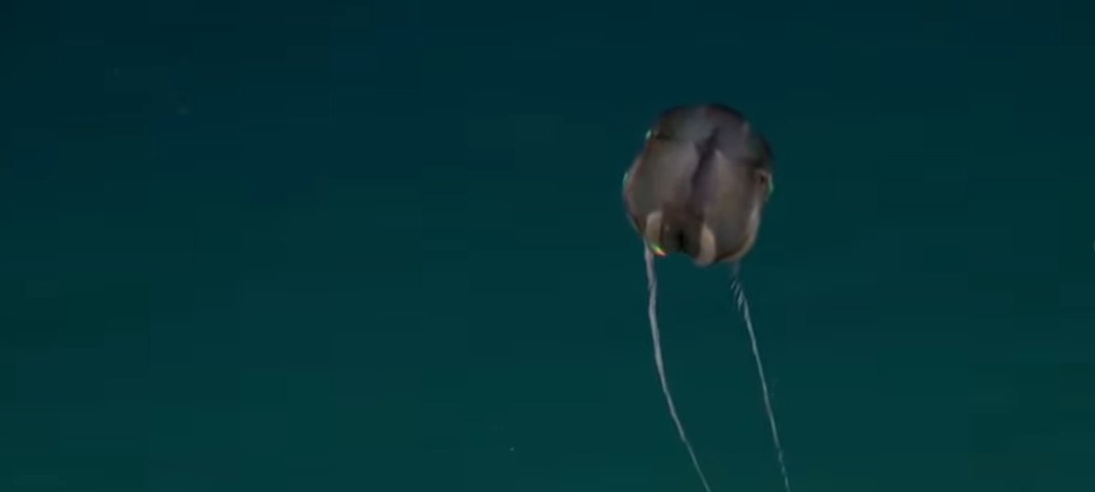 Bellezas de nuestro territorio marítimo !!!!