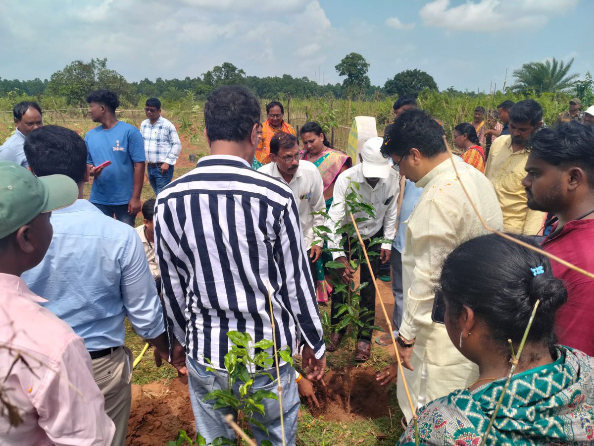 BSuliapada59524's tweet photo. "Hon'ble Minister Krushna Chandra Mohapatra, Minister of Housing and Urban Development and Public Enterprise, Government of Odisha, joins 'Ek Ped Maa Ke Naam 2.0' initiative at village Nedasole, GP Paktia, under Suliapada Block." https://t.co/FlkOP66GgK