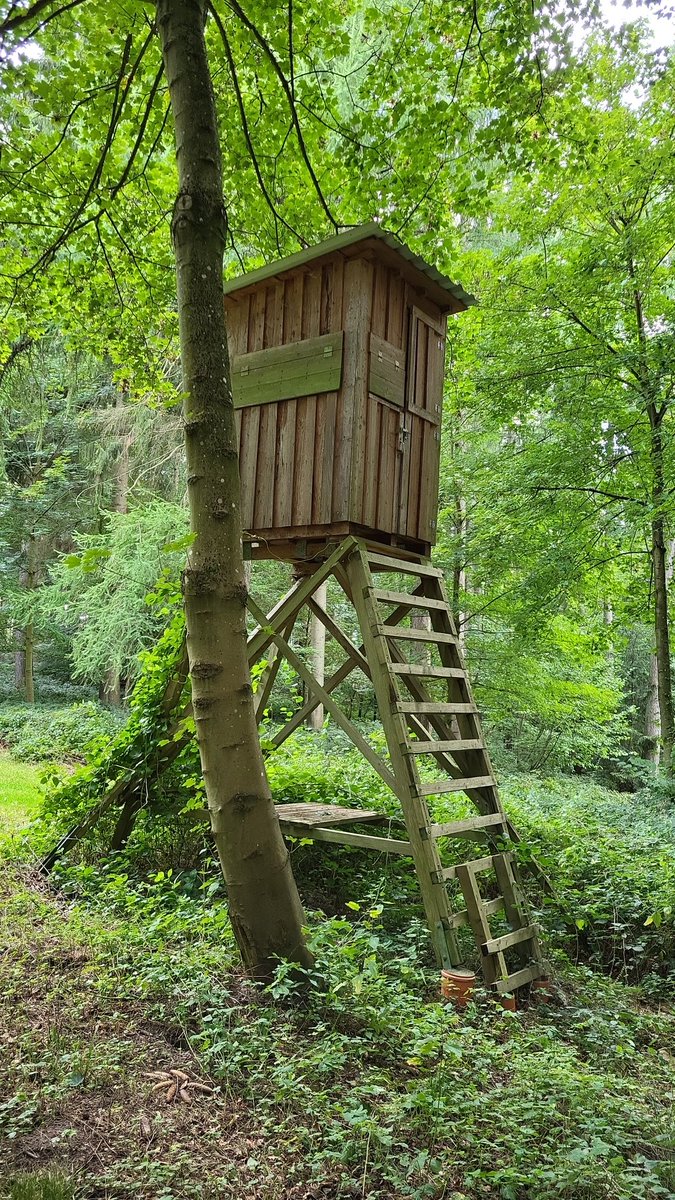 despressiv's tweet image. Ballerbude 2.0 
#Jagd 
#Hochsitz