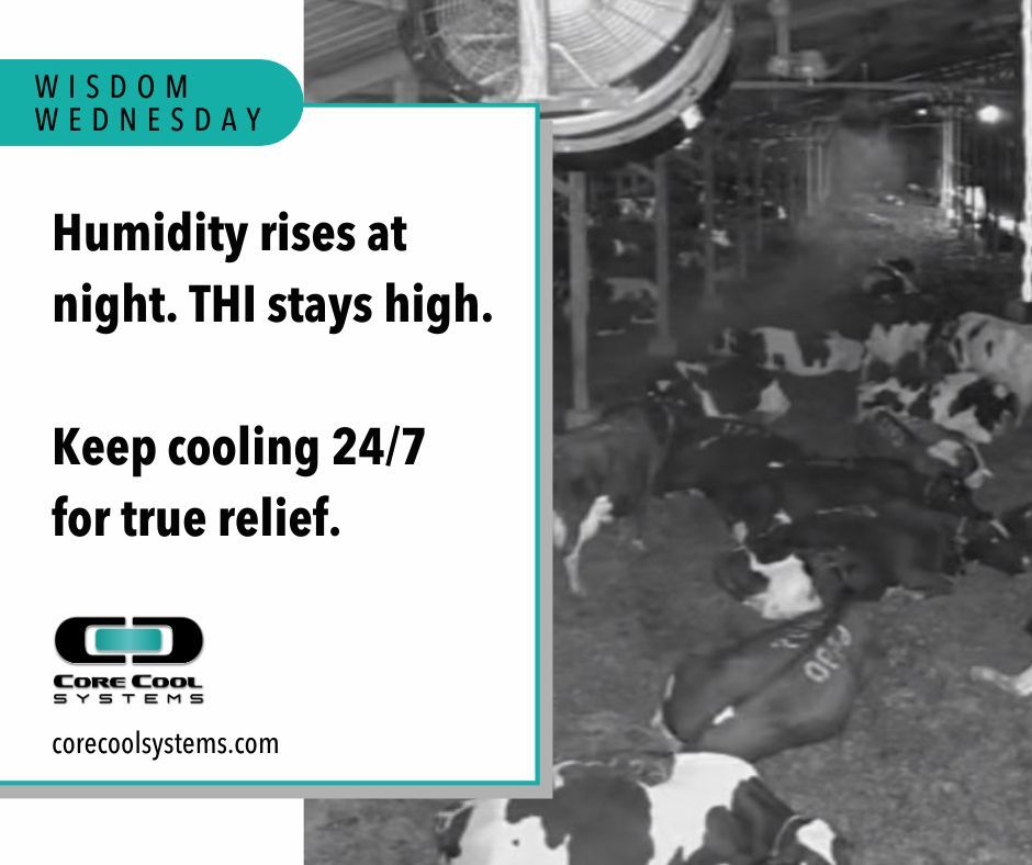 #WisdomWednesday
Humidity often rises at night, keeping THI high or climbing. Core Cool’s THI-based automation keeps air + mist flowing so cows cool 24/7, not just by day.
🔗 buff.ly/2f6NFxg