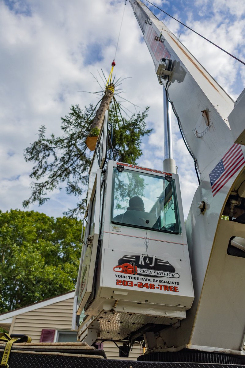 KJTreeService's tweet image. At your service 🫡🫡🫡
-
-
-
#KJTreeService #CTTreeService #treeservice #arborist #treeremoval #treecare #treework #treelife #treeclimber #chainsaw #treetrimming #stumpgrinding #stumpgrinder #CTtrees #ConnecticutTrees #HamdenCT #NewHavenCounty #FairfieldCounty
#coupons #sale