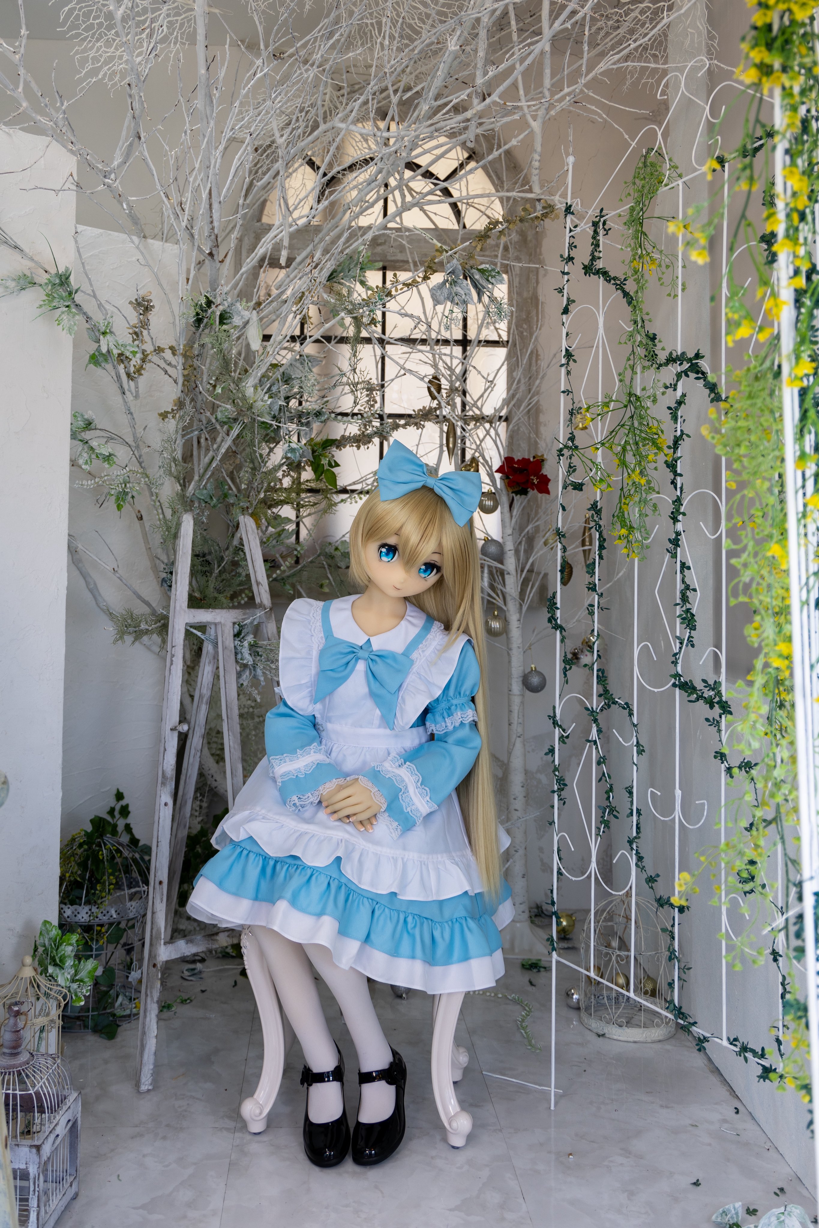 鏡の中の猫 on X: 